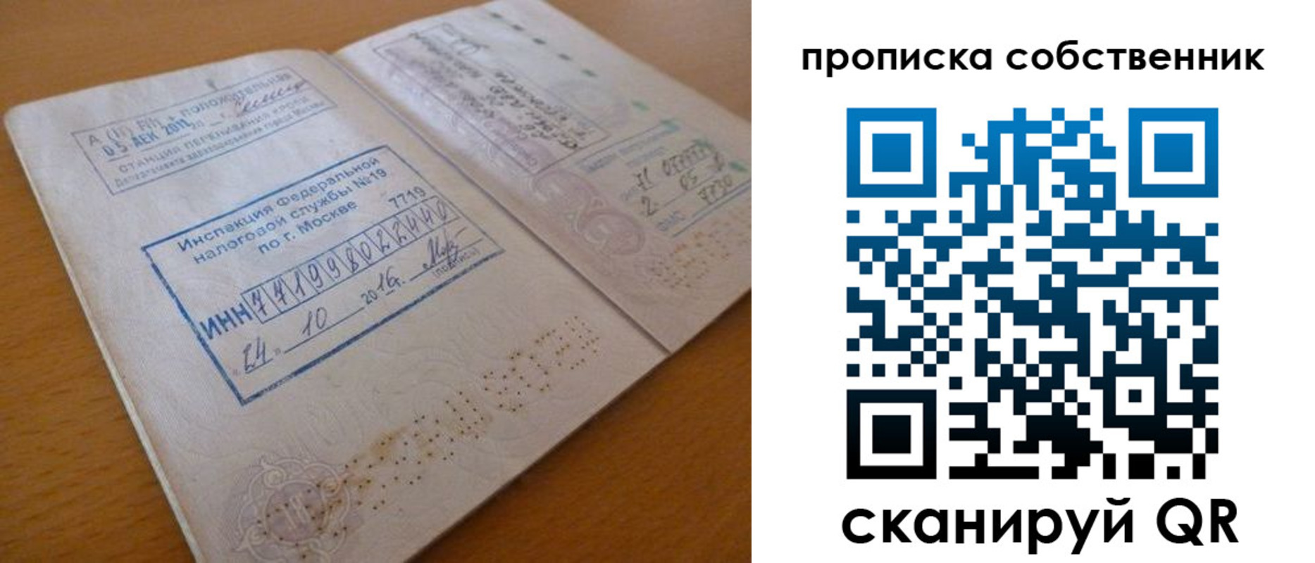 прописка для школы в Звенигово